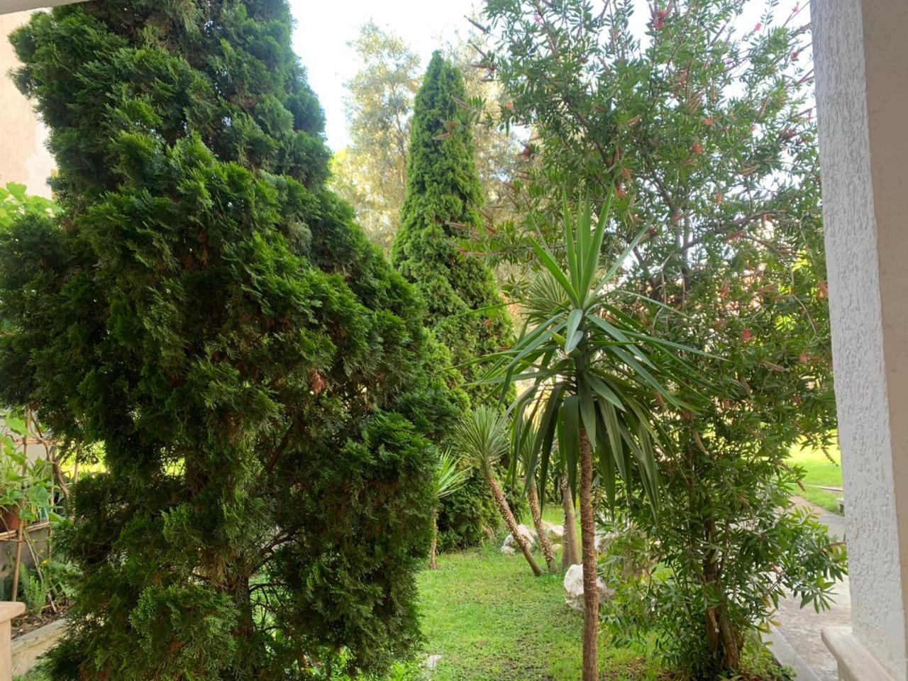 Mani Guest house Durres